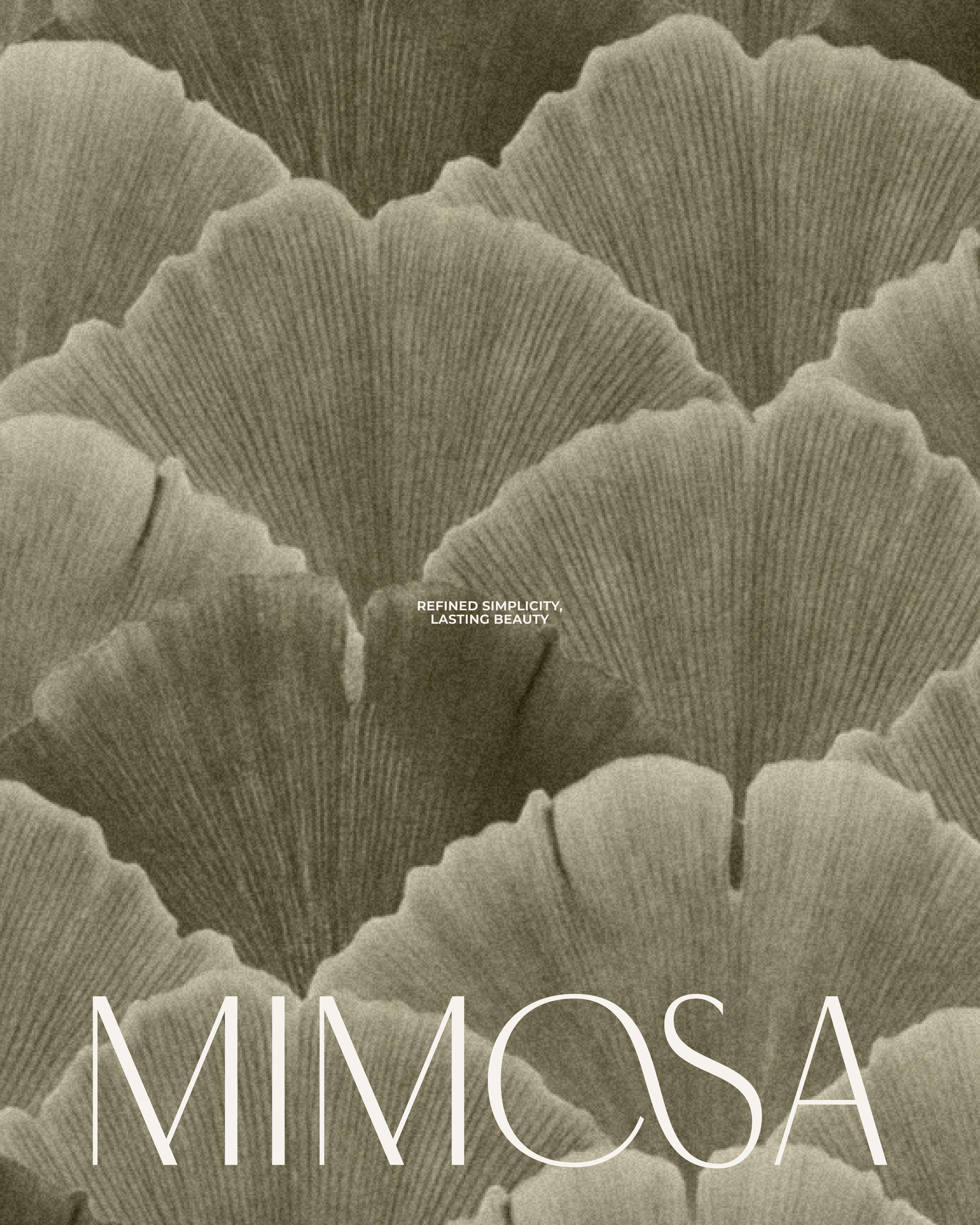 Mimosa — view 06